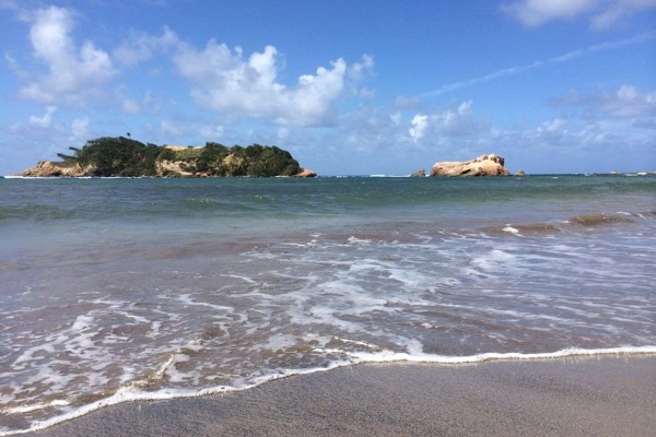Hotel Calibishie Cove (Larieu)
